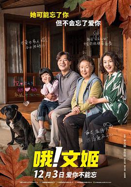 长河落日电视剧免费观看