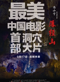 草草在线观看
