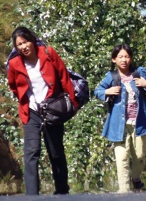 欧美日韩美女一区二区